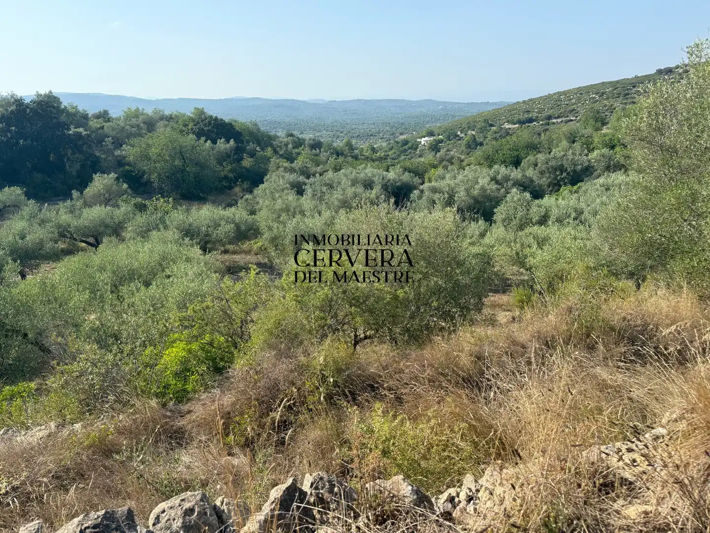 Terreno rustico in vendita a Cervera del Maestre, imagen 9