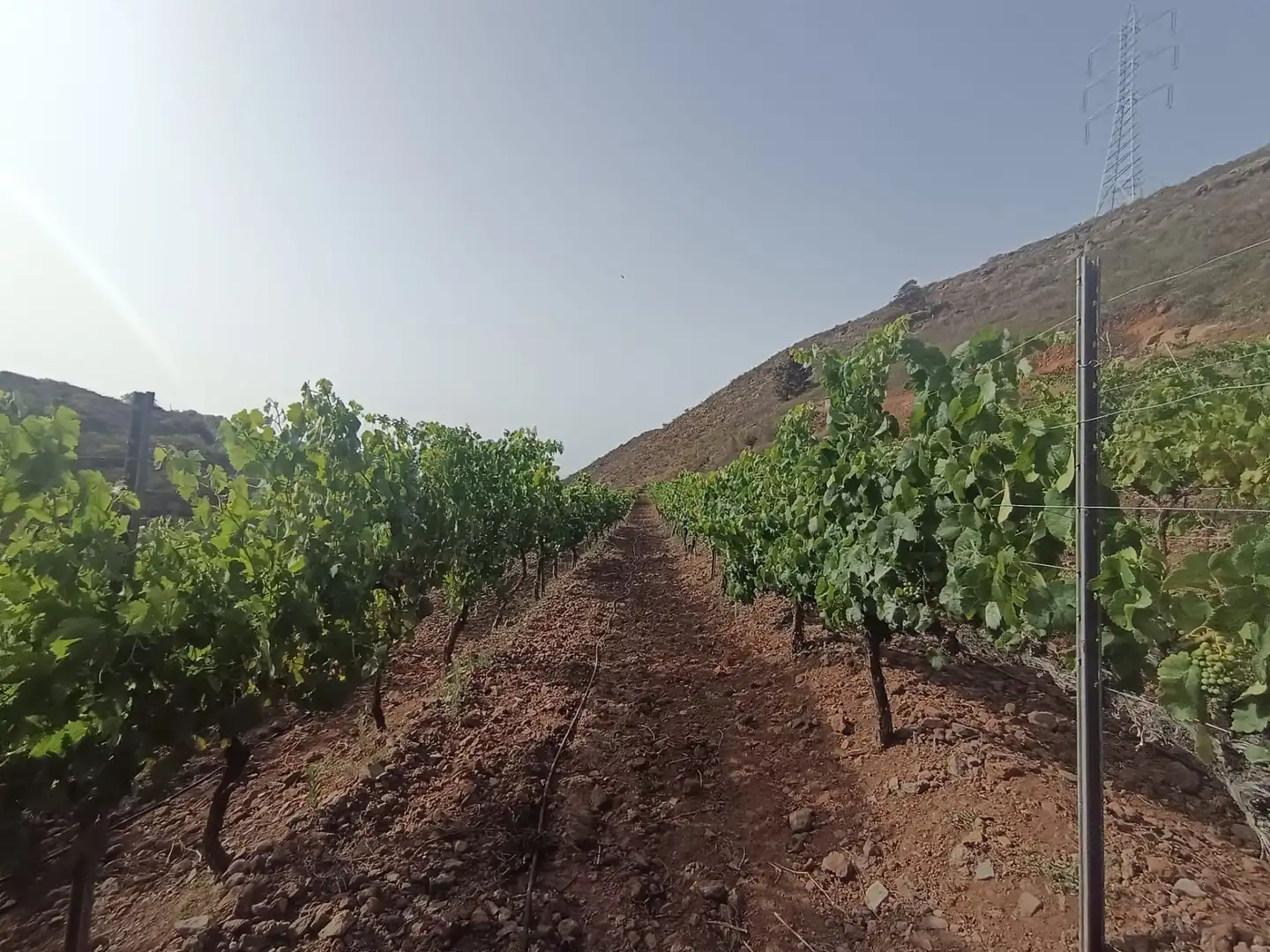 Terreno rustico in vendita a Arico, imagen 15