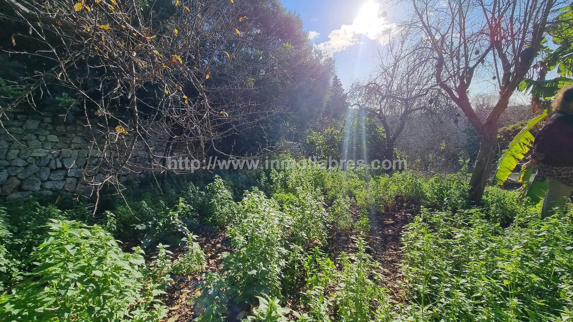 Casa rústica en venta en Campanet, imagen 4