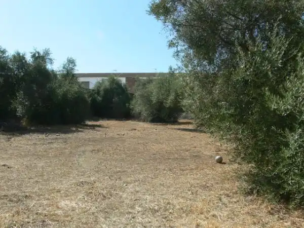 Residential for sale in Castilblanco de los Arroyos