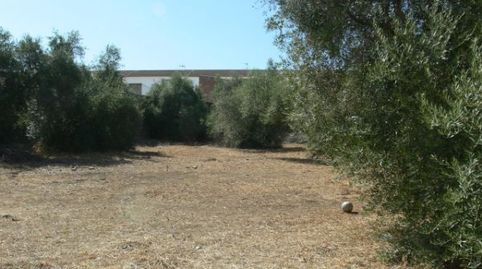 Foto 4 de Residencial en venta en Calle Calle Antonio Machado, Castilblanco de los Arroyos, Sevilla