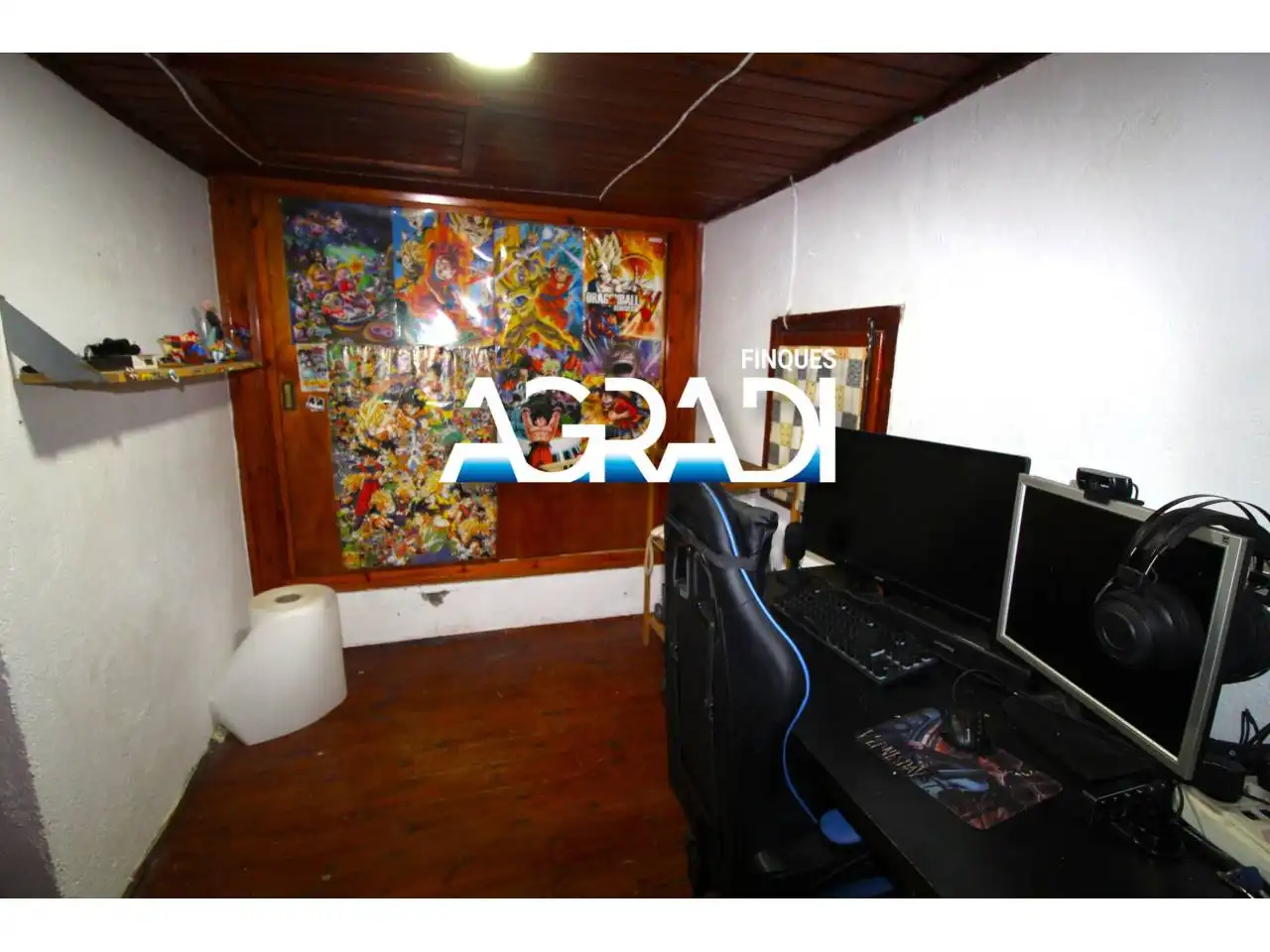 Houses for sale in Vallgorguina