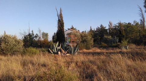 Foto 3 de Terreno en venta en Urbanización 19 Huertos Regao Peñaf, Peñaflor, Zaragoza Capital