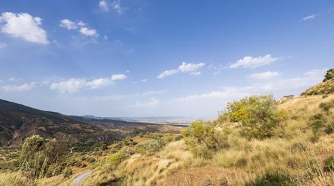 Photo 4 of Land for sale in  Haza del Collado, Zona baja, Granada