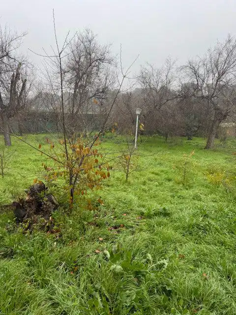 Terreno residenziale in vendita a Alcaudon, imagen 2
