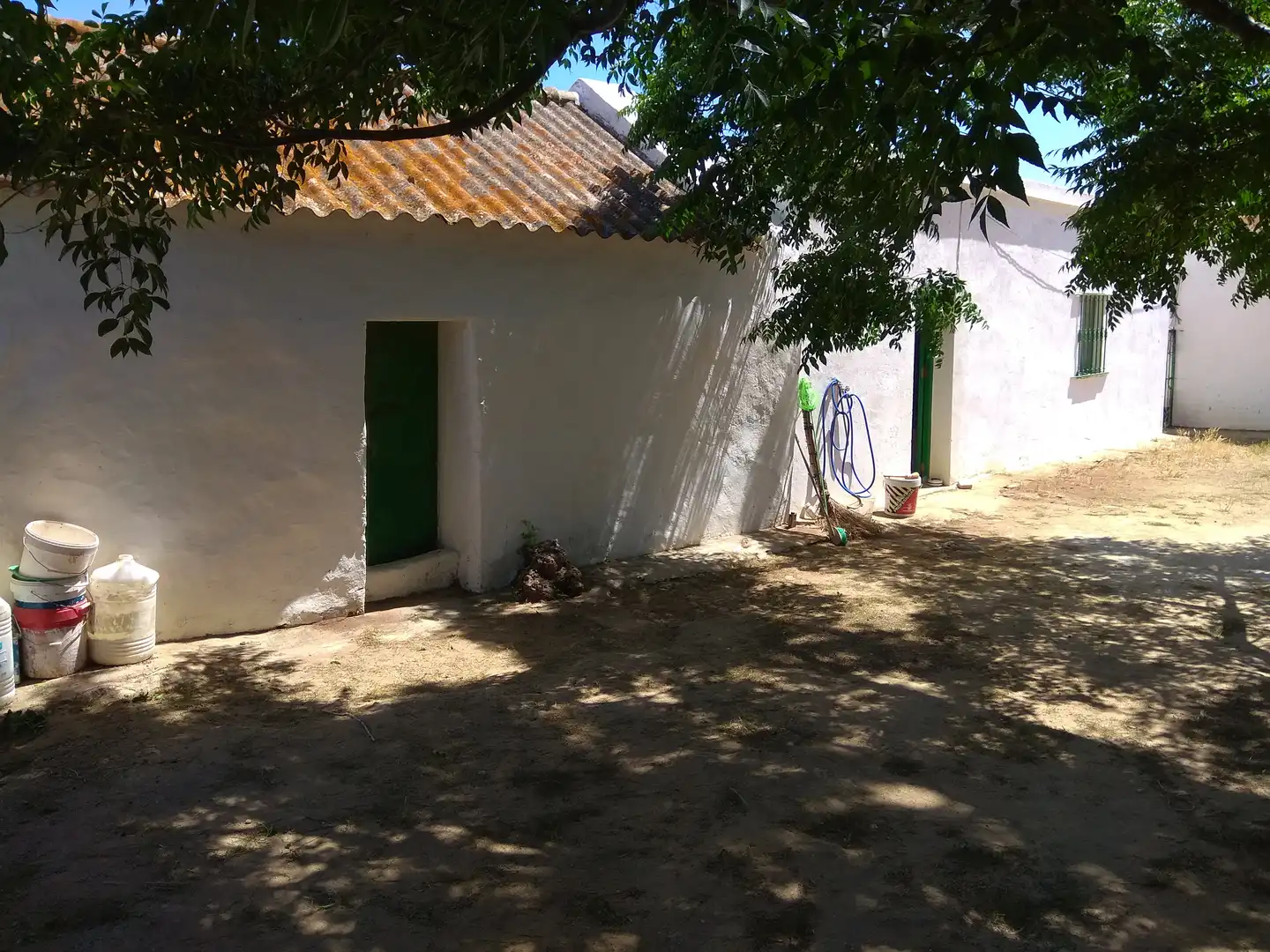 Terrain rustique à vendre à Vejer, imagen 5