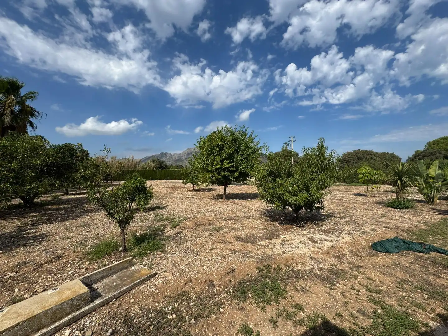 Villa con piscina in affitto a Avenida DR FLEMING, imagen 69