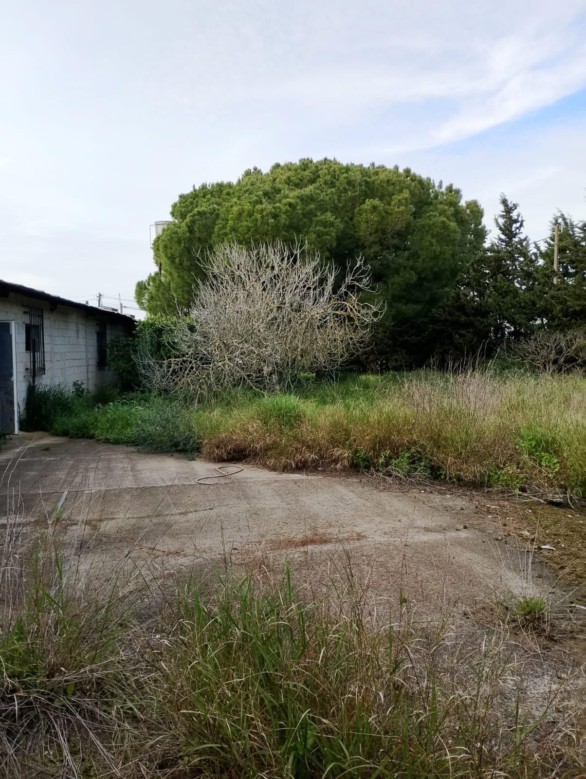 Country house for sale in Chiclana de la Frontera