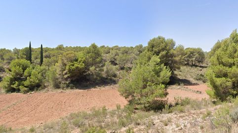 Venta 2 Parcelas en Aledo Zona de Las Alquerias, imatge 3