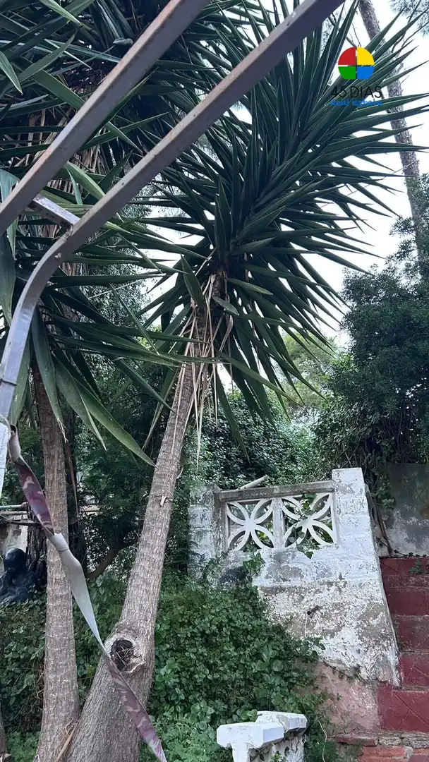 Jardí de Casa o xalet en venda en Castelldefels amb Aire condicionat, Jardí privat i Terrassa