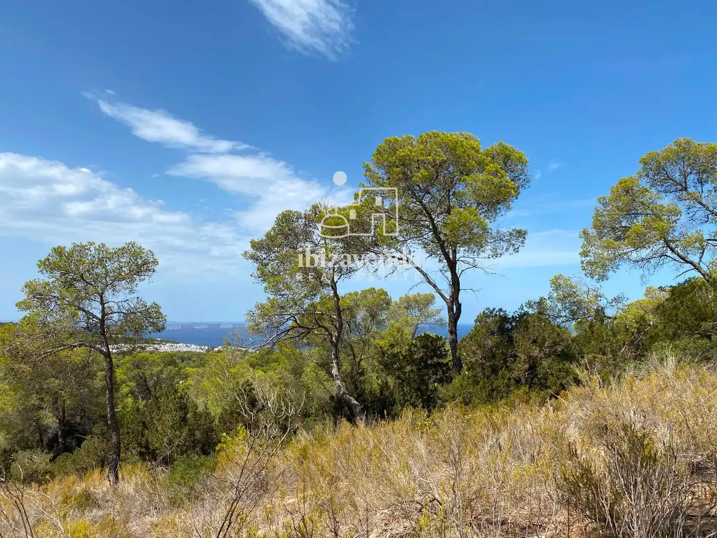 Terreny rústic en venda a Cala Tarida, imagen 23