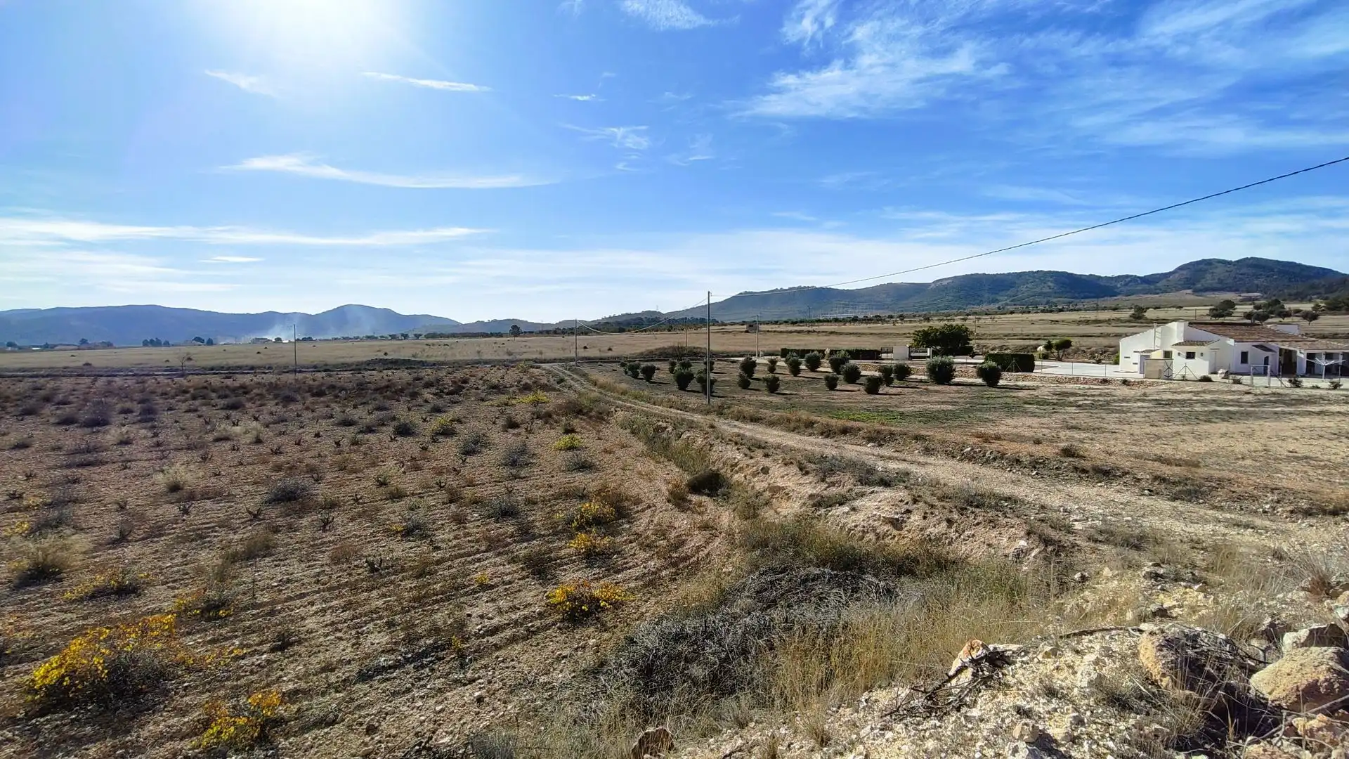 Lands and plots for sale in Abanilla, imagen 19
