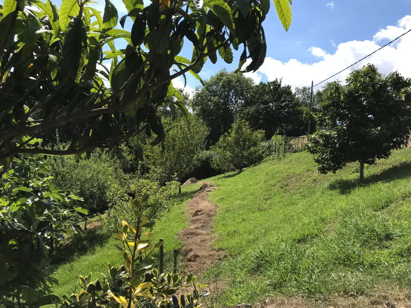 Terrenos y solares en venta en Cuadroveña, imagen 2