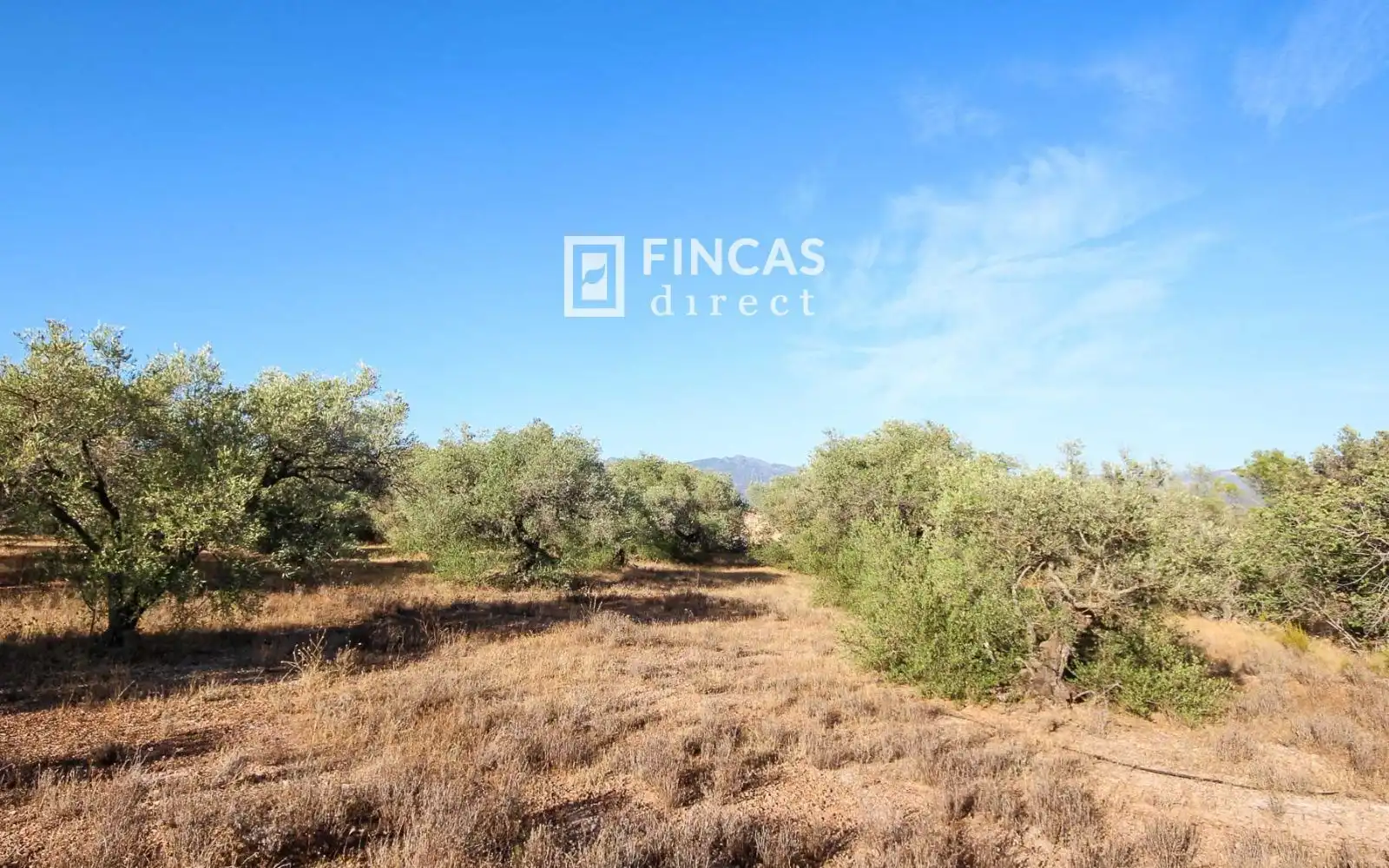 Country homes for sale in Xerta