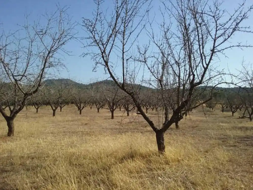 Terrain rustique à vendre à Pt Horquera, imagen 11