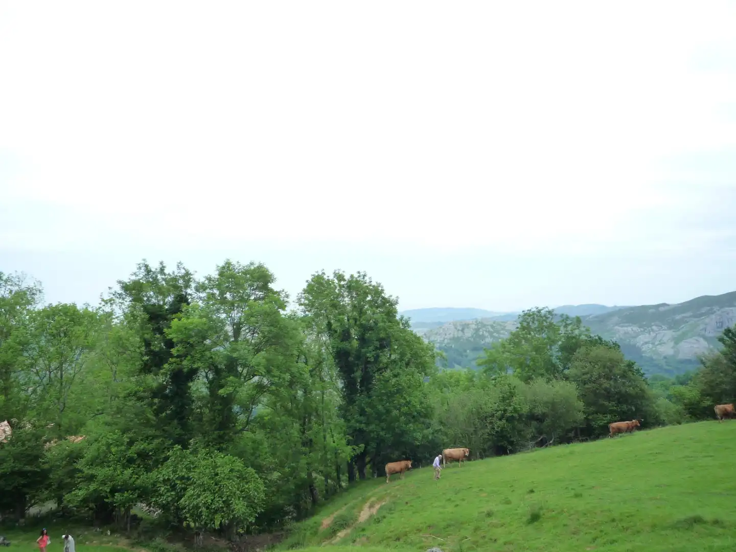Terreno rustico in vendita a Liérganes, imagen 7