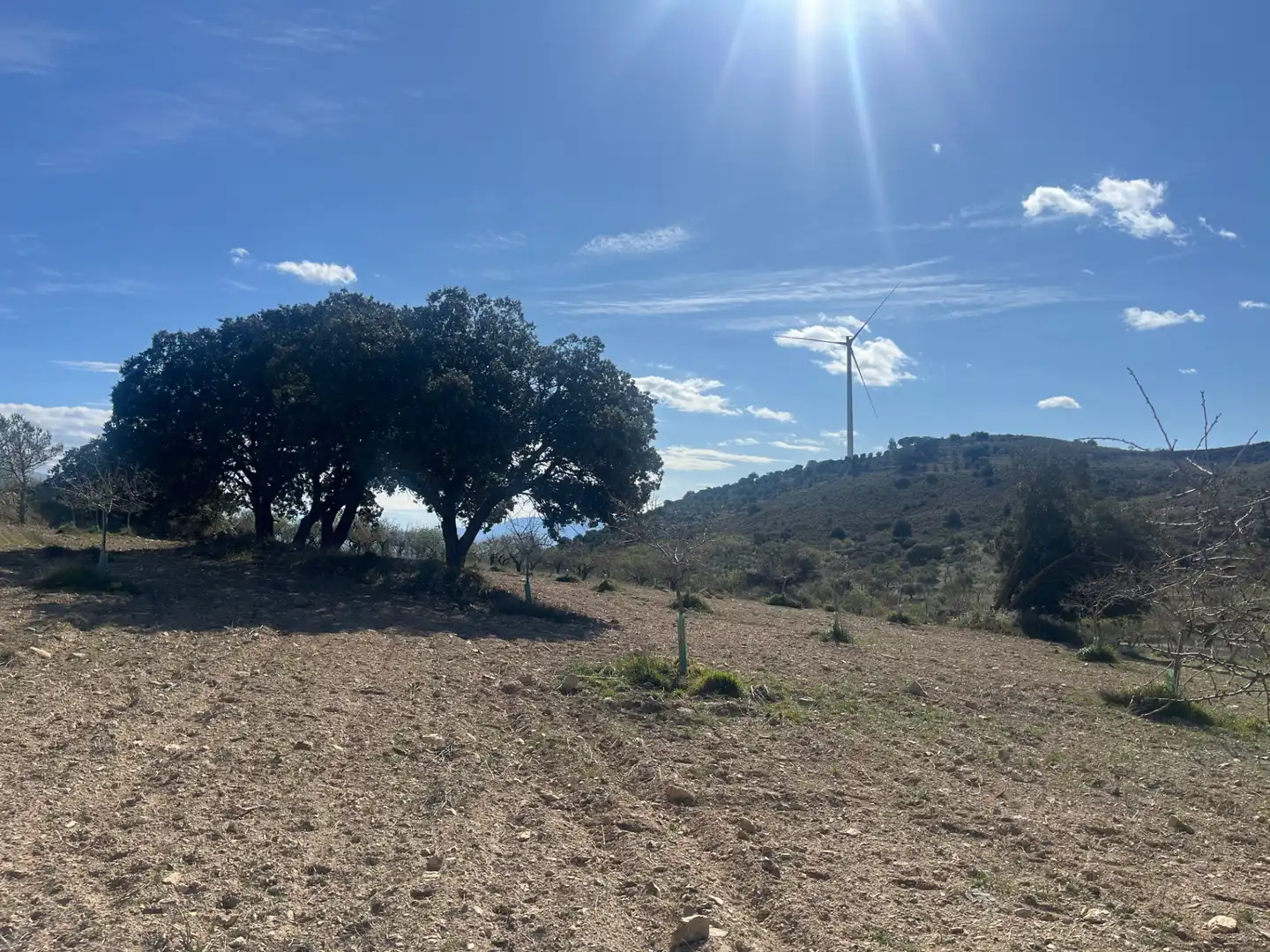 Rustikales Grundstück zum Verkauf in Camino de la Sierra, imagen 17