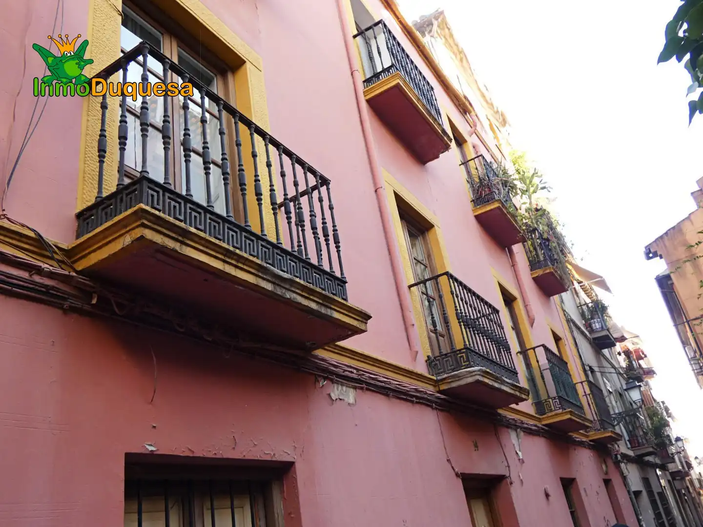 Inmuebles singulares en venta en Centro, imagen 9