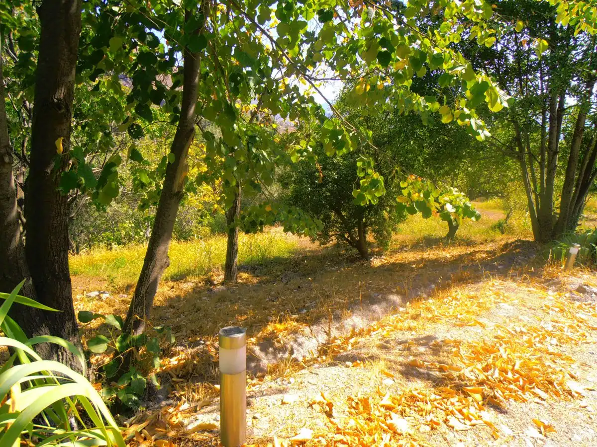 Jardí de Casa o xalet en venda en Soportújar amb Terrassa