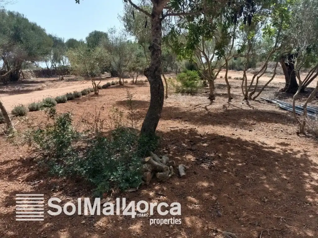Country house with pool for sale in Santanyí Poble, imagen 2