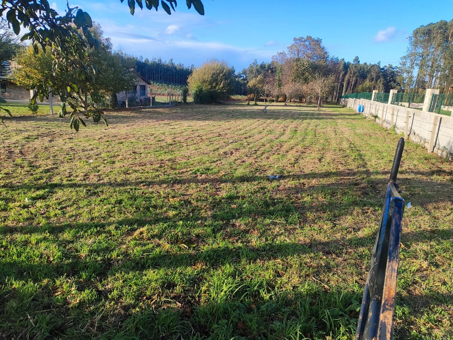 Residential for sale in Xove