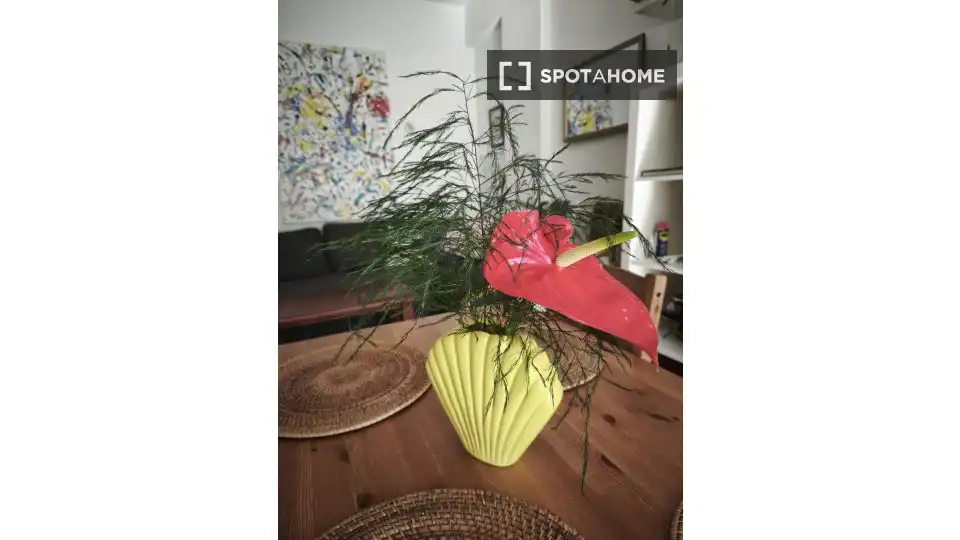Zimmer in Playa Jardín