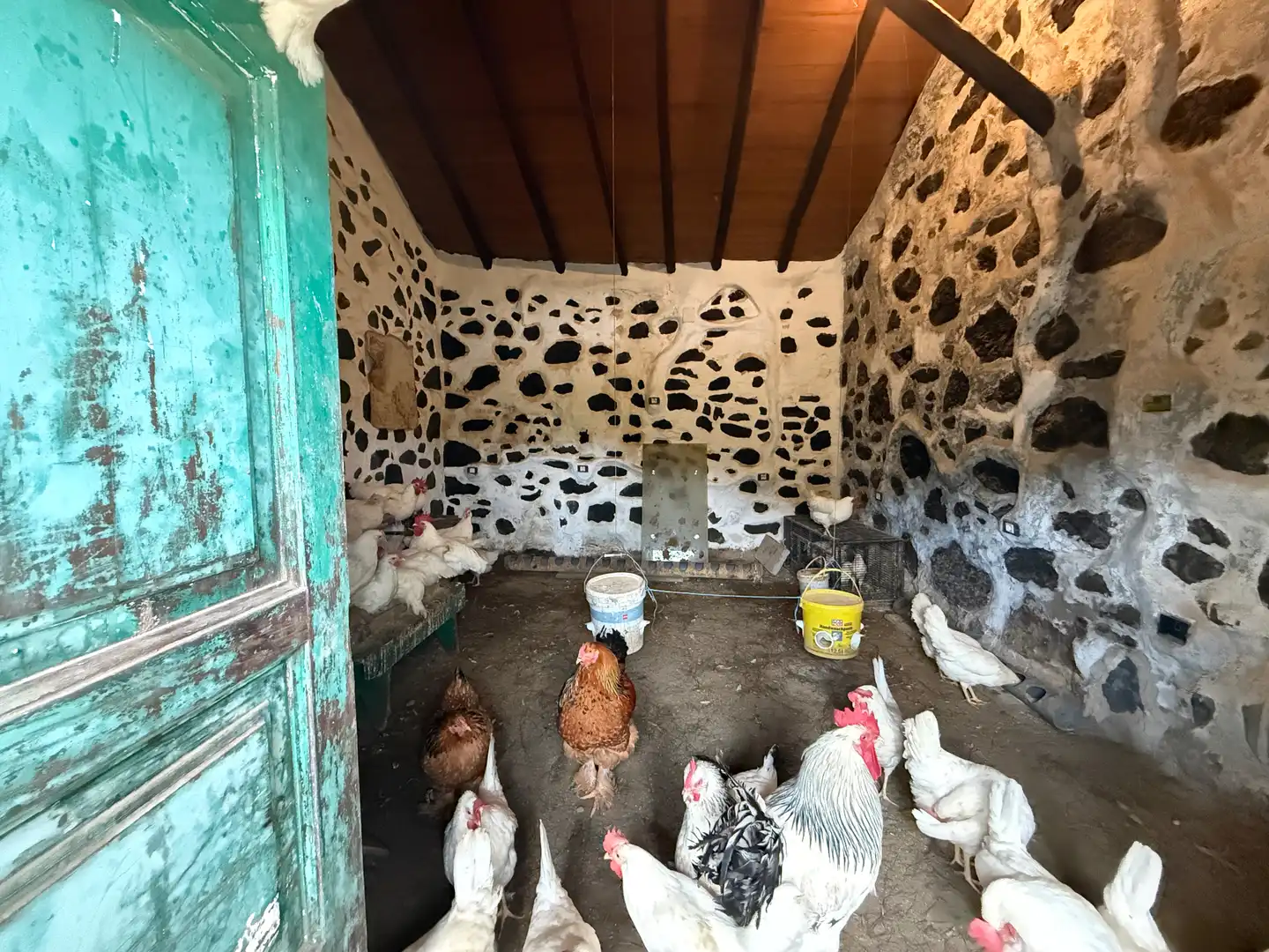 Finca rústica en venta en El Álamo - Arbejales