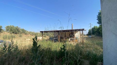PARCELA RUSTICA EN GUADIX, GRANADA, imagen 5