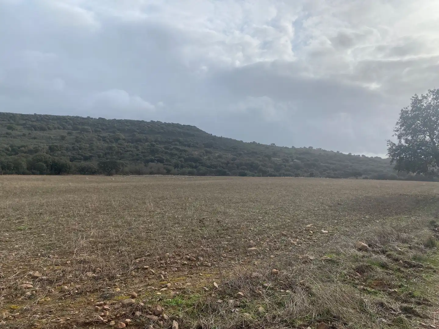 Terreno en venta en Anchuras