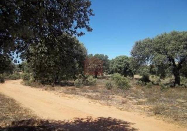 Terreno residencial en Venta en Parada de Arriba