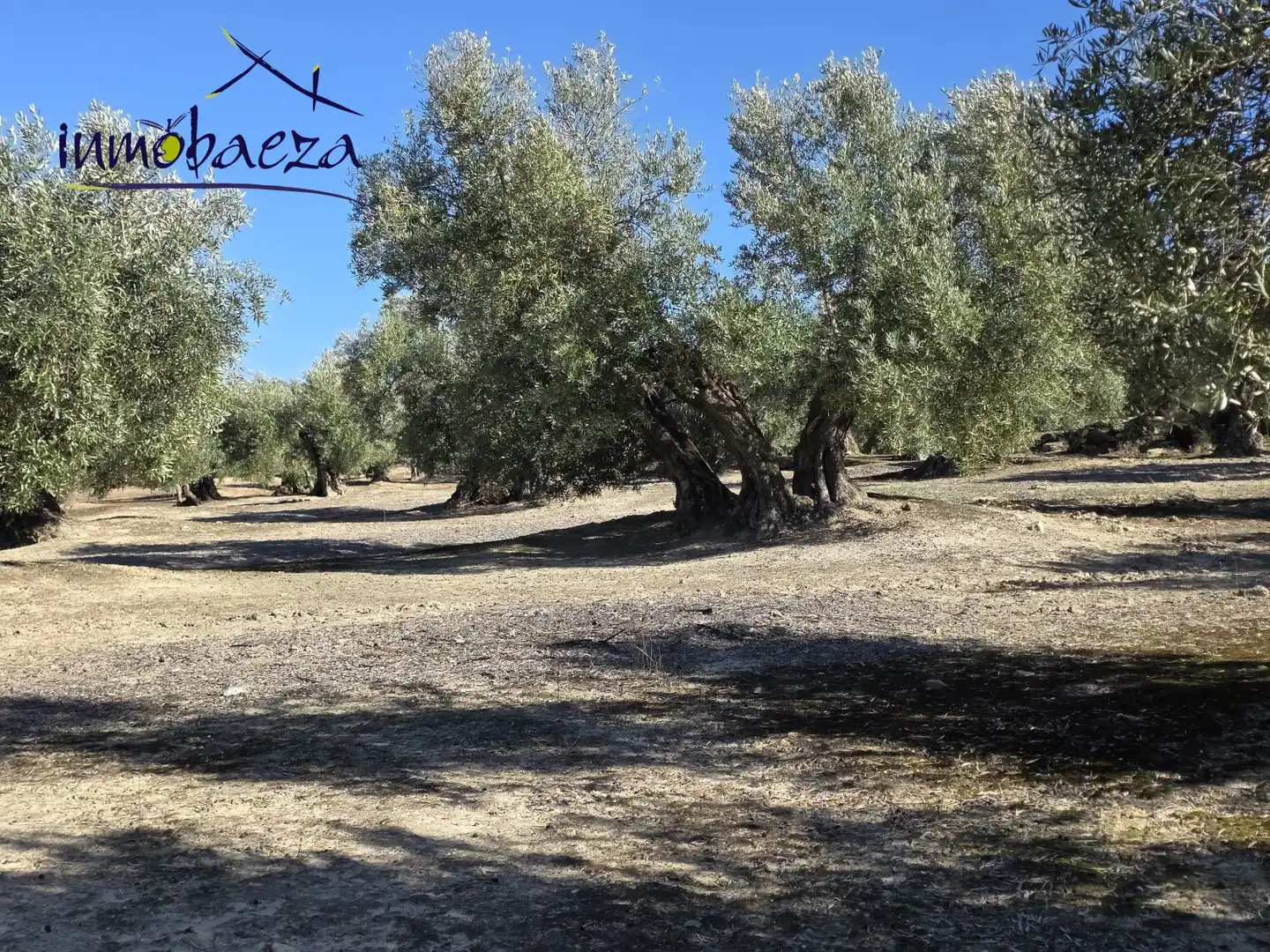 Country homes for sale in Baeza