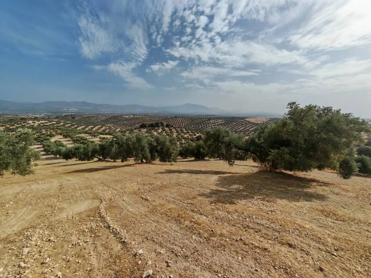 Land for sale in Salar