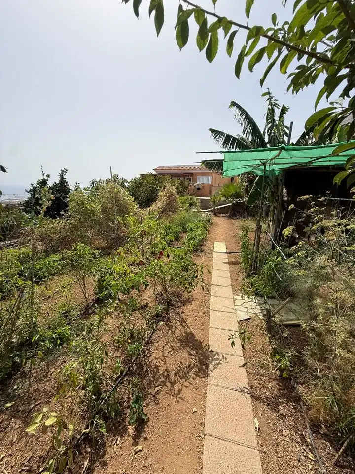 House with pool for sale in Camino la Medida, imagen 69