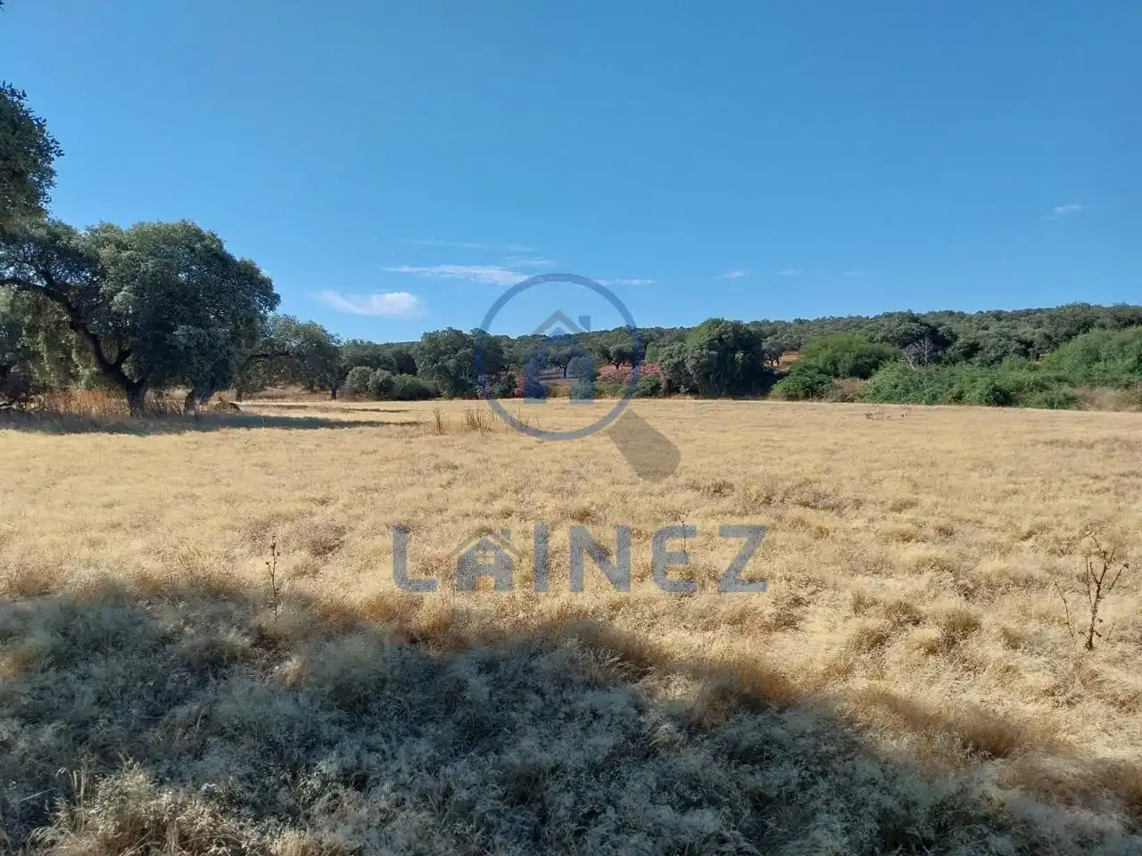 Lands and plots for sale in Fuente Obejuna, imagen 16