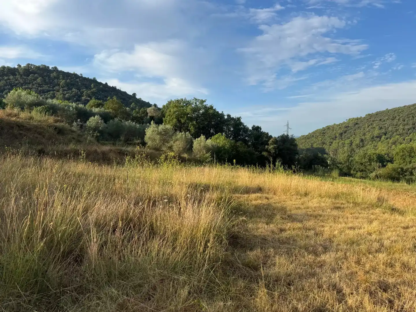 Terrain résidentiel à vendre à Beuda, imagen 7
