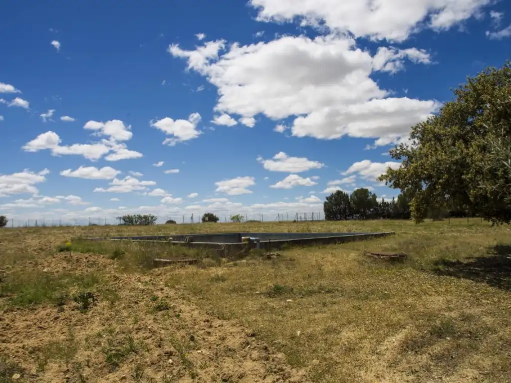 Finca rústica en venda en Navalcarnero