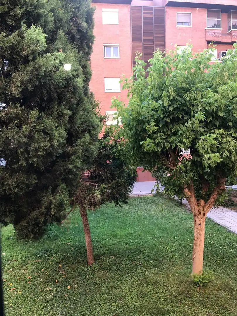 Jardí de Pis en venda en Aranjuez amb Aire condicionat, Calefacció i Terrassa