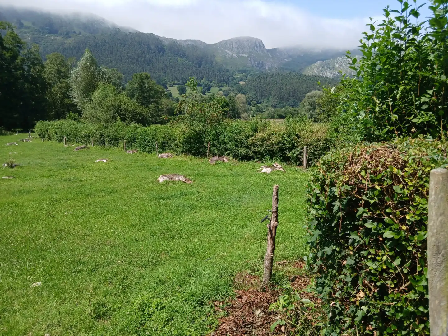 Terreni e lotti in vendita a San Felices de Buelna, imagen 10