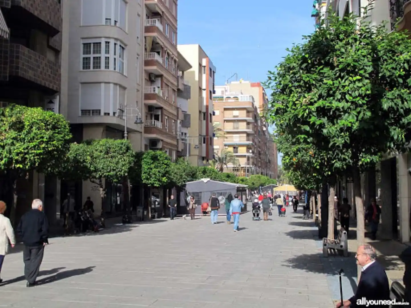 Exterior view of Houses for sale in Molina de Segura