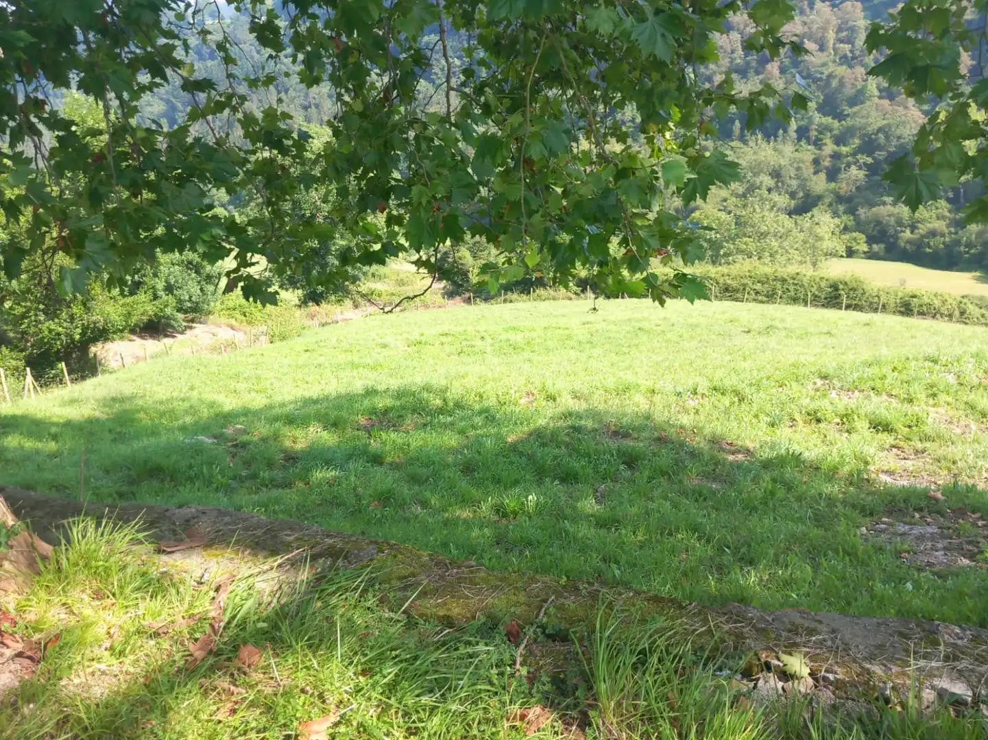 Terreni e lotti in vendita a Labarces - La Cardosa 21