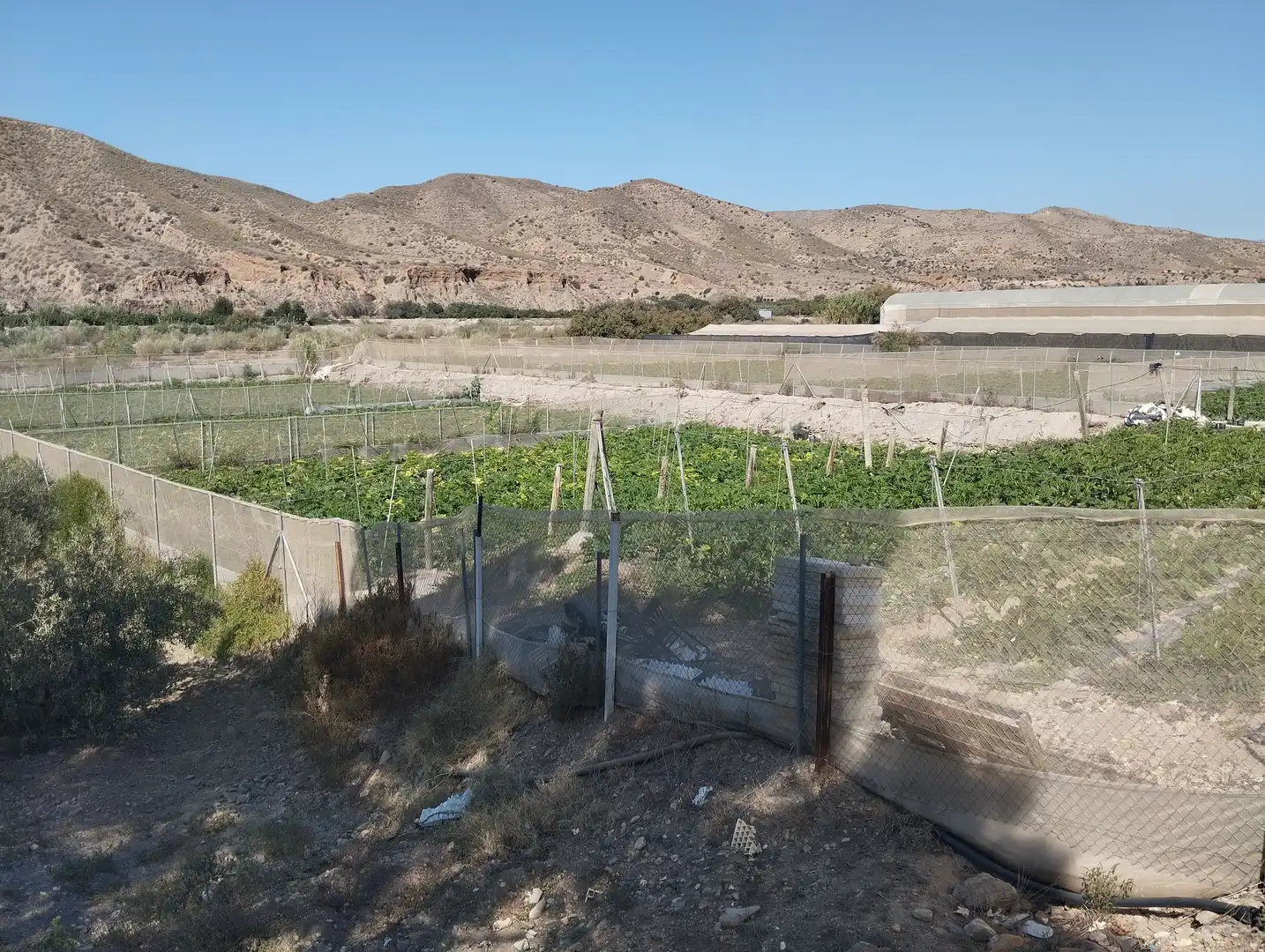 Terreno rustico in vendita a Santa Fe de Mondújar, imagen 3