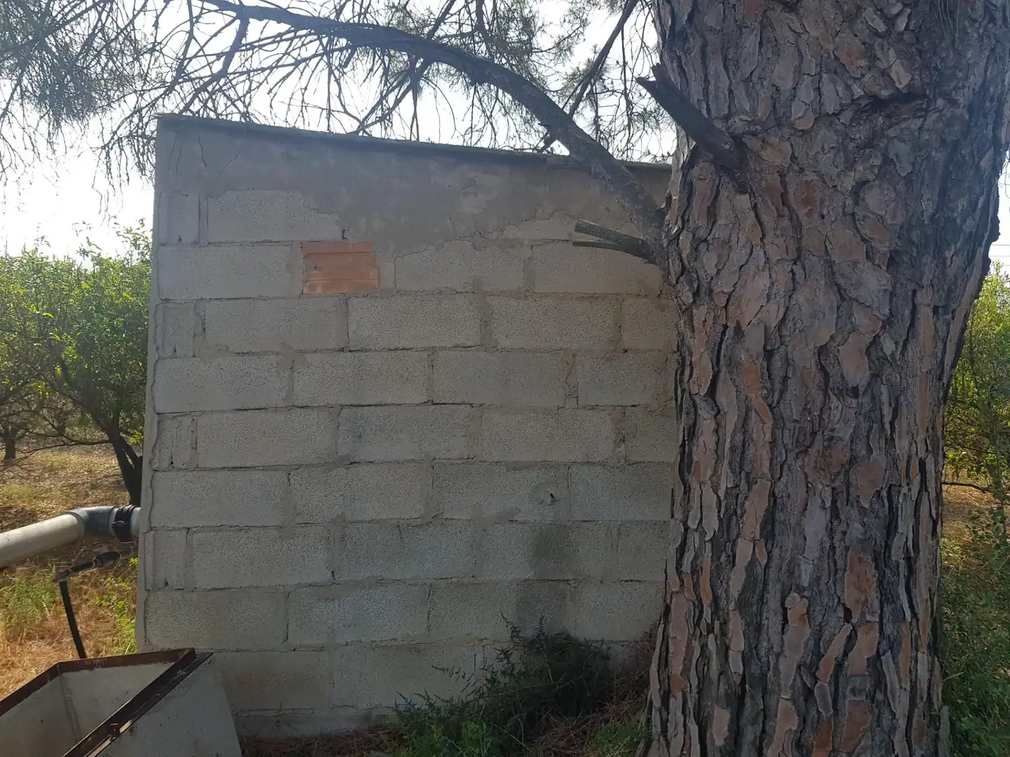 Rustikales Grundstück zum Verkauf in Santa Bàrbara, imagen 8