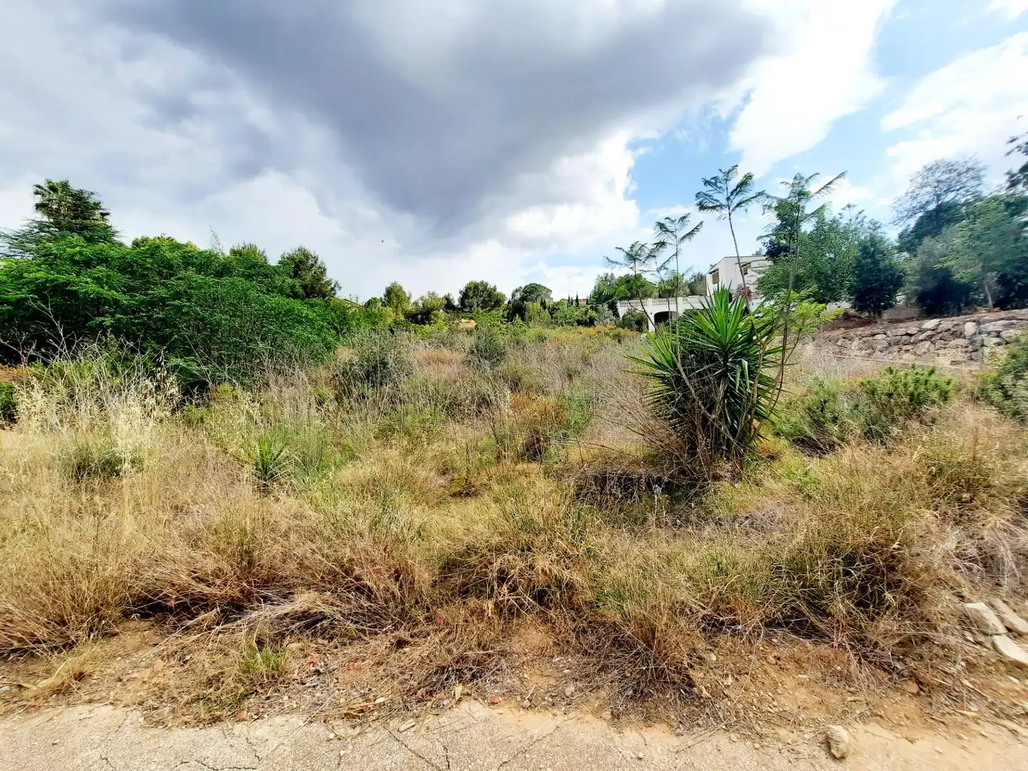 Terreny residencial en venda a Alberic, imagen 3