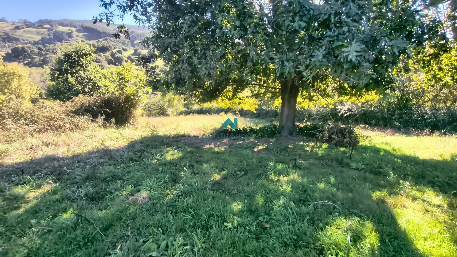 Terreno rustico in vendita a Tarrueza, imagen 7