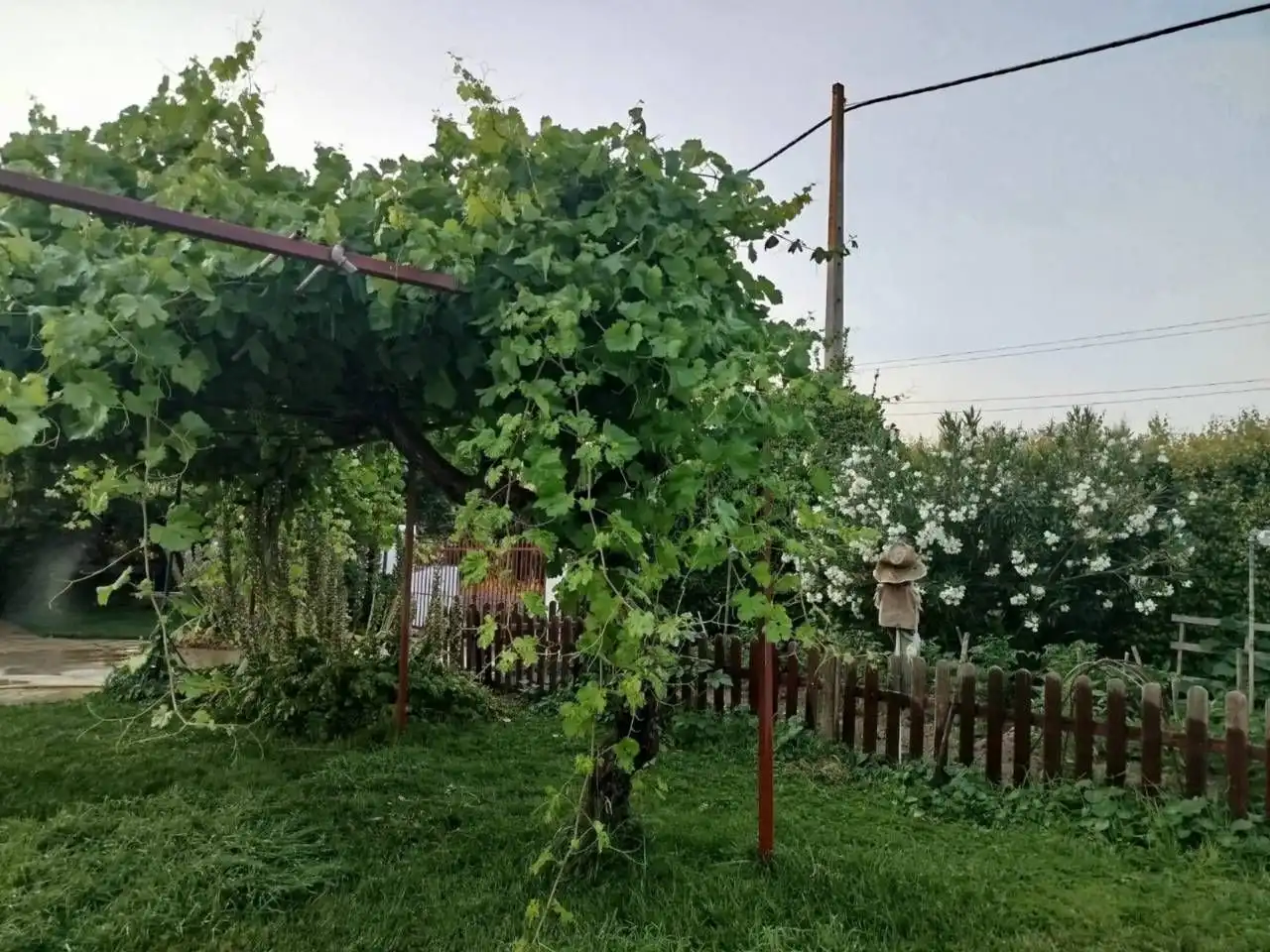 Jardín de Casa o chalet en venta en Morata de Tajuña con Aire acondicionado, Calefacción y Piscina