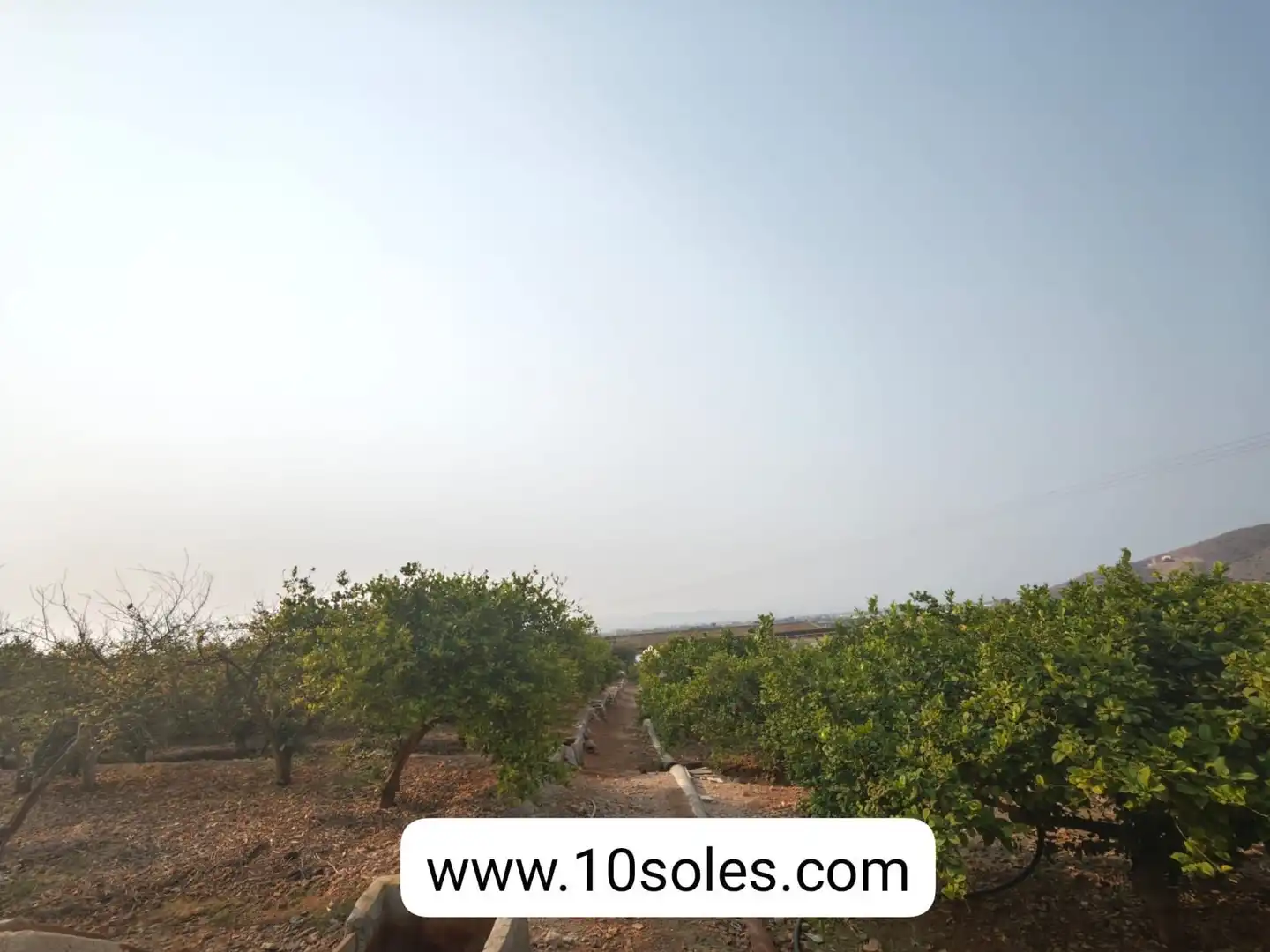 Country house with garden for sale in Montepinar - La Aparecida - Raiguero, imagen 34