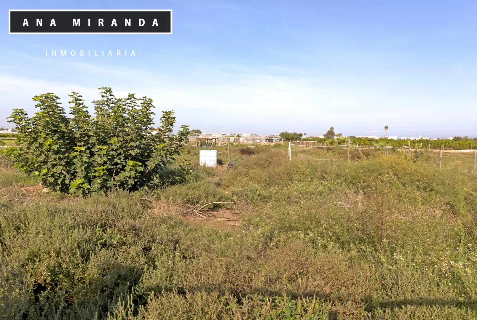 Finca rústica en venta en Foios, Valencia