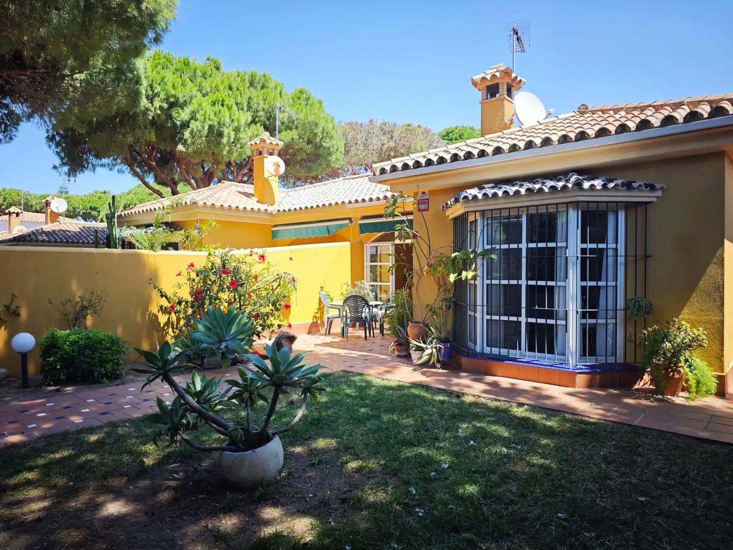 Jardí de Casa o xalet en venda en Chiclana de la Frontera amb Calefacció, Piscina i Moblat