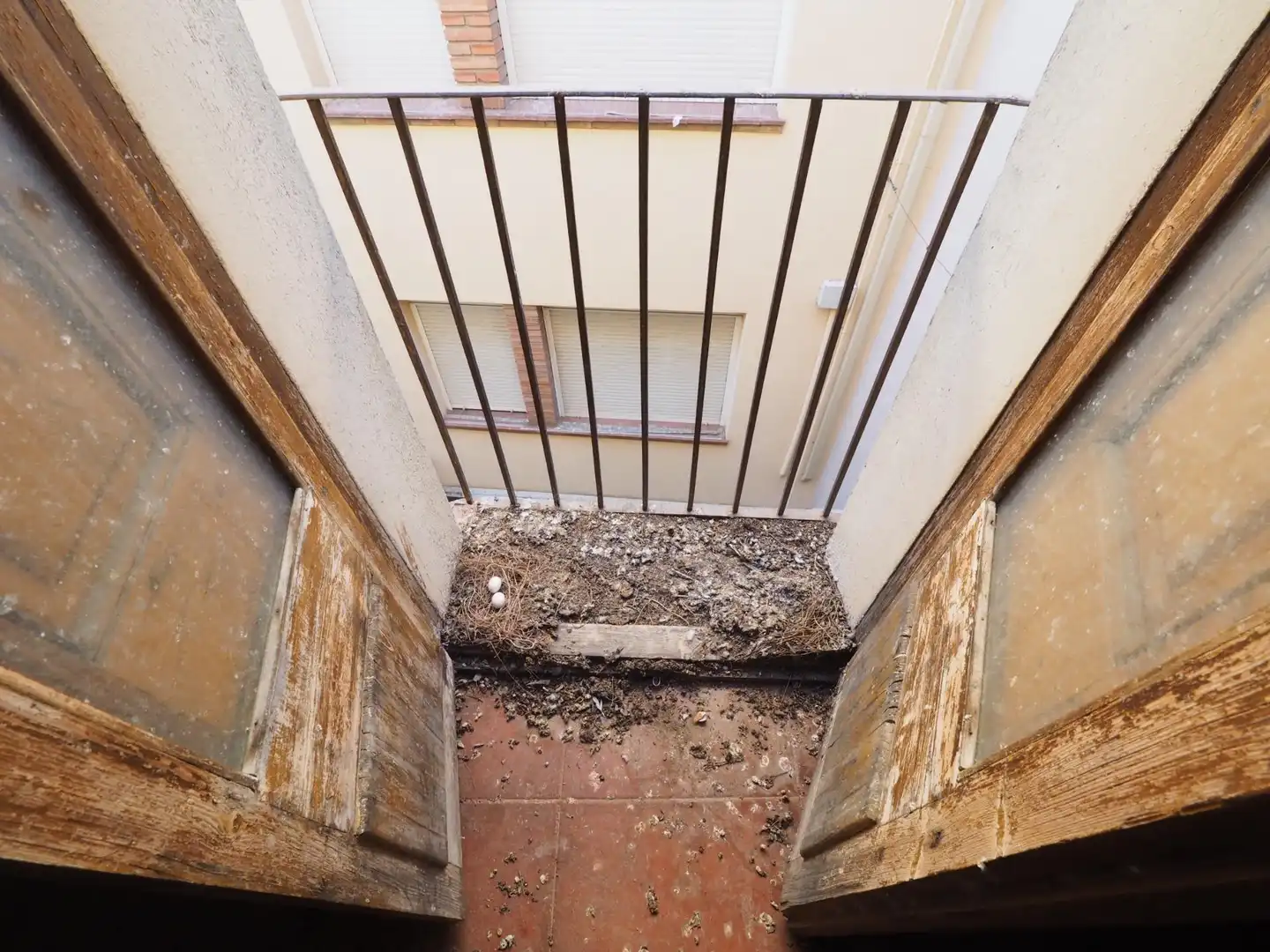 Reihenhaus zum Verkauf in Capellades, imagen 8