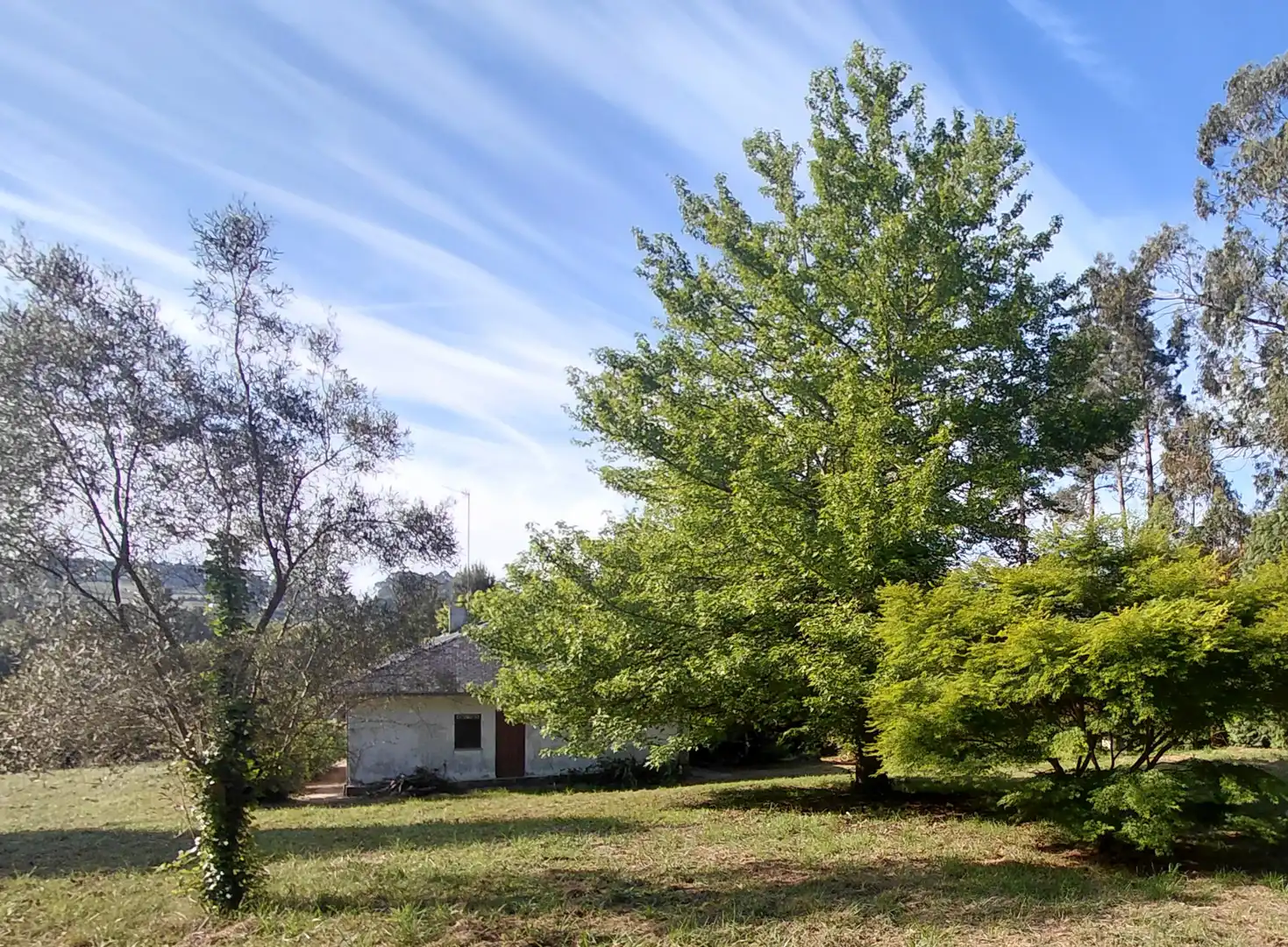 Jardín de Casa o chalet en venta en Oleiros con Aire acondicionado, Calefacción y Jardín privado